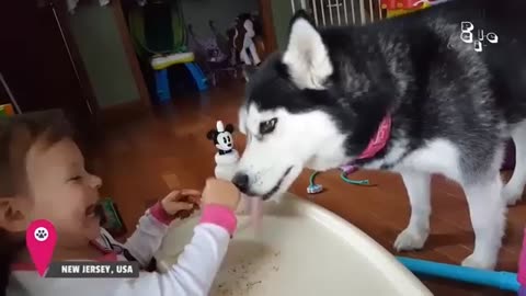 animals_cute 169