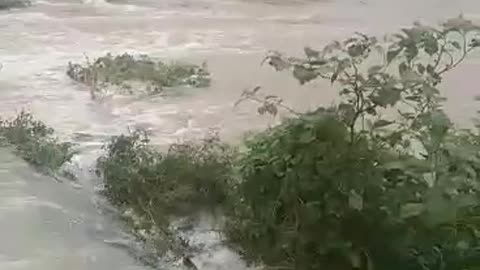 Beach water splash.