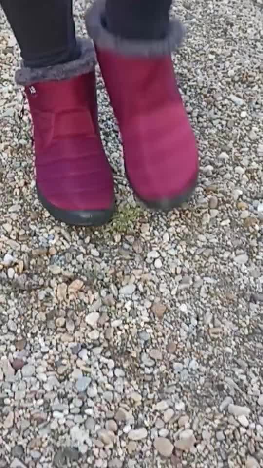 Amazon Kitchen products Smart gadgets & items for every home # 202 "Gr liton Home Gadgets"