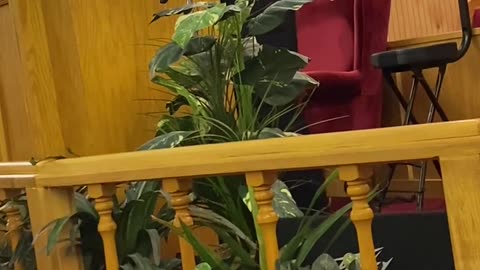 The Work of Jesus Christ