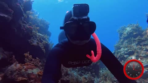 Europe sexy beauty, bikini diving, let you feast your eyes.