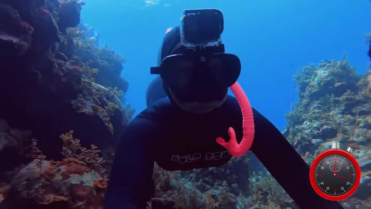 Europe sexy beauty, bikini diving, let you feast your eyes.