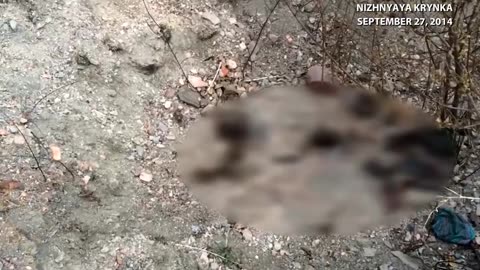 Journalist who are covering what's happening in Donbass for Western audiences
