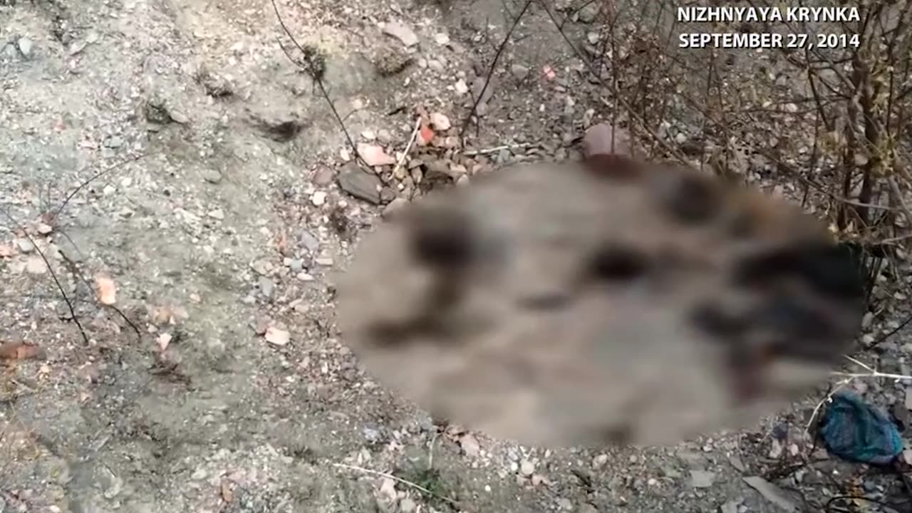 Journalist who are covering what's happening in Donbass for Western audiences