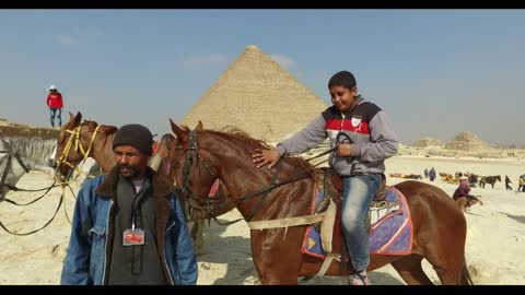 Local people with horses for rent in front of pyramids of Giza