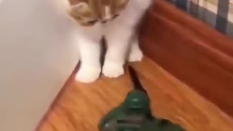 Funny Animal Videos Try Not to Laugh 2024 #1