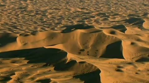 Africa Sahara Documentary