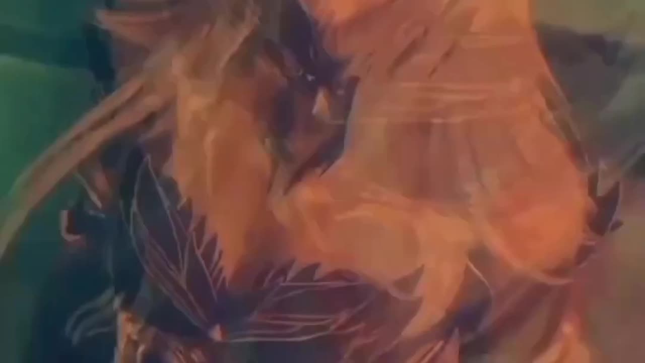Cartoon animation video.....#####
