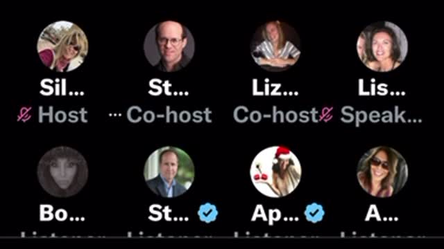 Steve Kirsch open discussion in Twitter Spaces