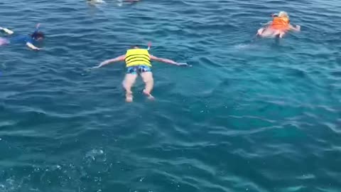 Egypt Hurghada El Gounaa