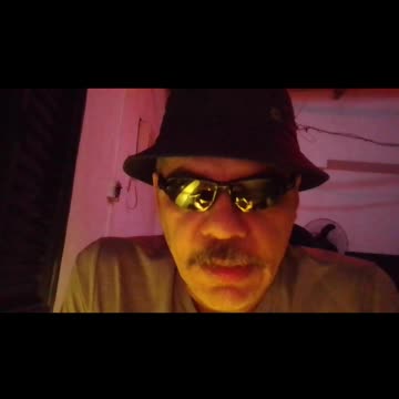 Vistas grossas do dinossauro