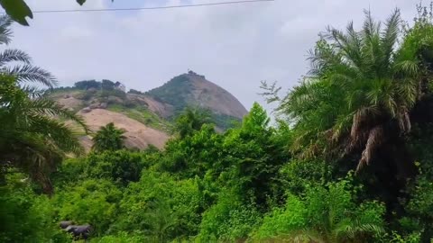 😍Amazing beautiful nature scenic spot with relaxing music😍 for mind stress relief😌