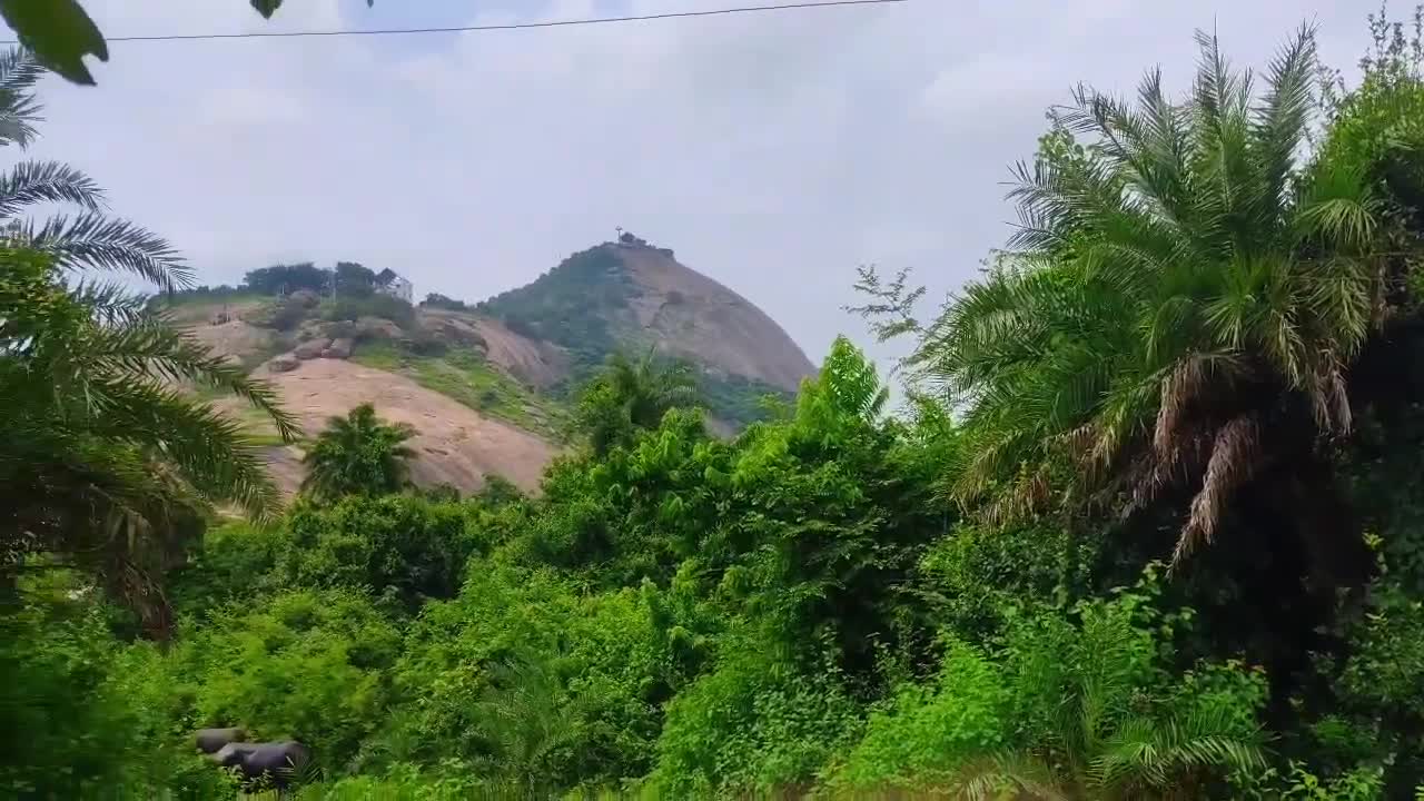 😍Amazing beautiful nature scenic spot with relaxing music😍 for mind stress relief😌