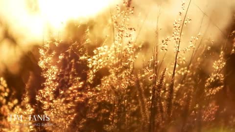 Scenery Instrumental Music Calming Moments