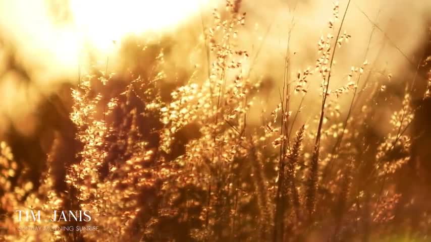 Scenery Instrumental Music Calming Moments