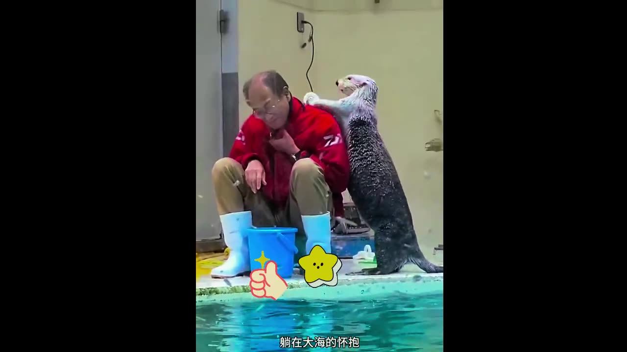 Minase，Cute pets
