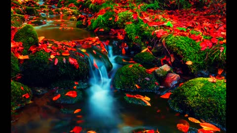 Relaxing Music | Sleeping, Meditation, Stress Relief | [6829] ⭐️