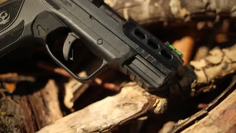 10 Best Pistols Under $350