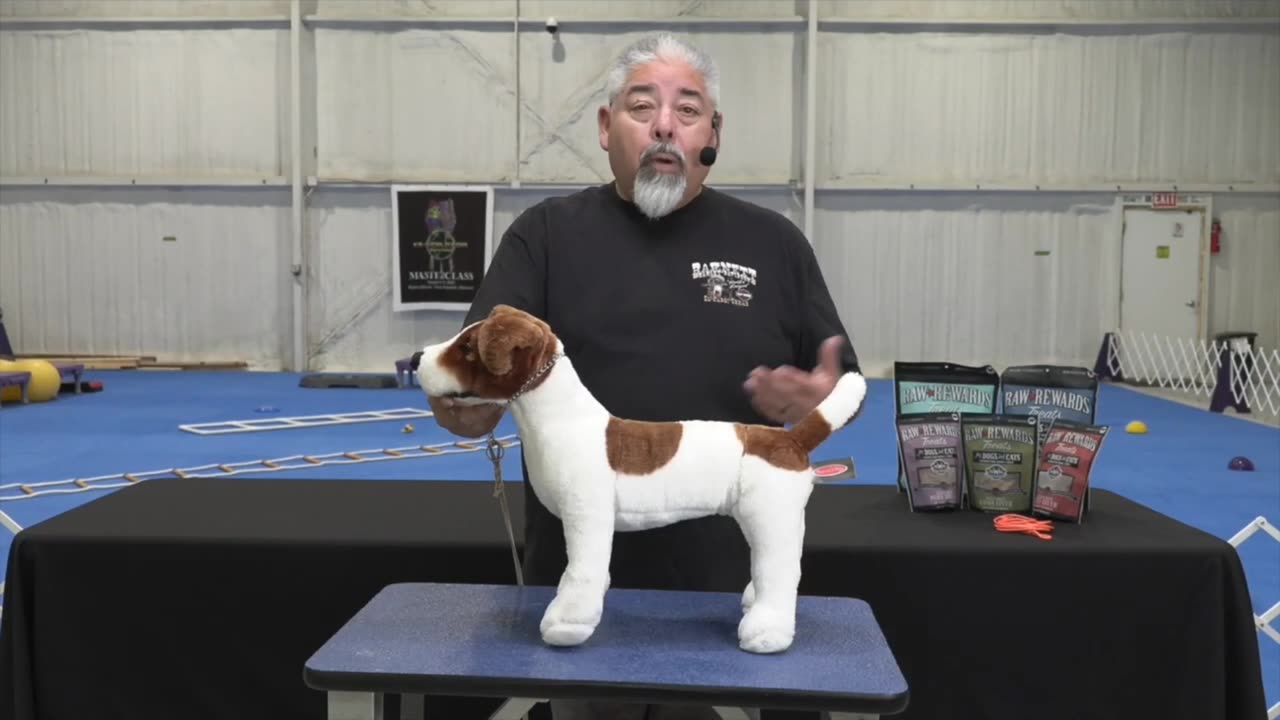 Hand Stacking Show Dogs With Eric Salas 👍