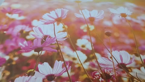 082024 Word From God -ASSIGNMENTS SENT OUT GLYNDA LOMAX