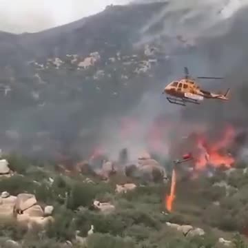 The reason behind forest fire…