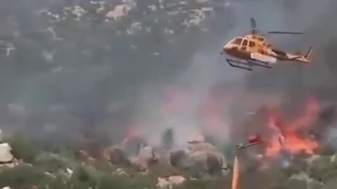 The reason behind forest fire…