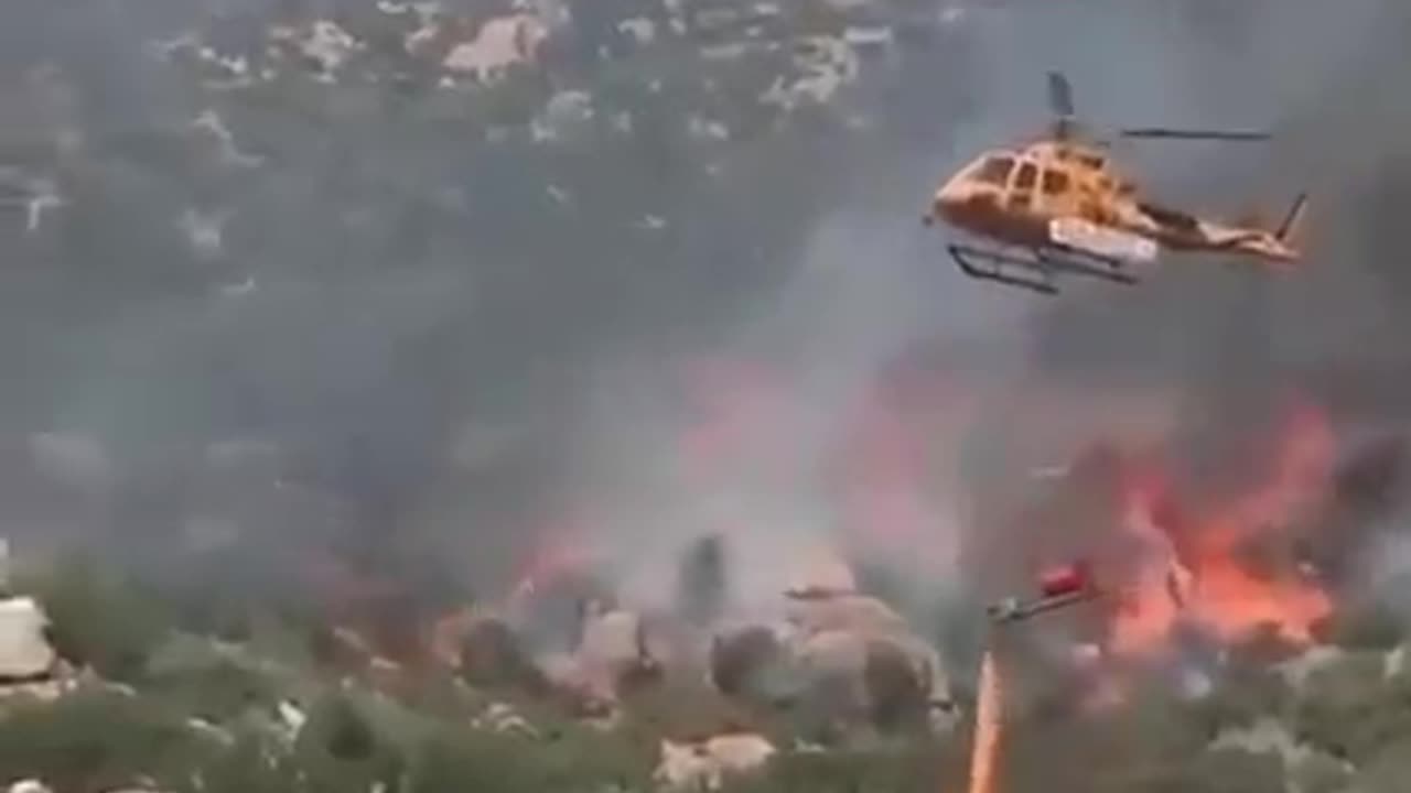 The reason behind forest fire…