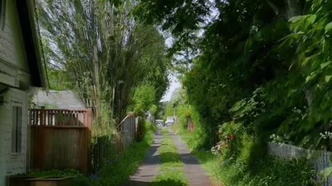 This path record for a year to capture the changing seasons#