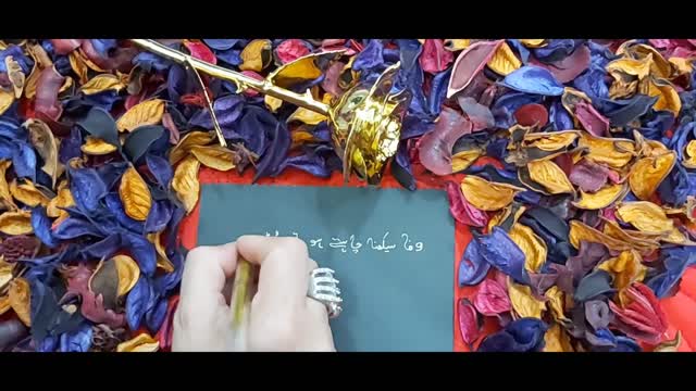 urdu shayari hindi shayari sad shayari heart touching famous shayari dardbharishayari