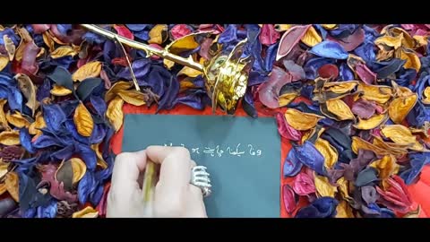 urdu shayari hindi shayari sad shayari heart touching famous shayari dardbharishayari