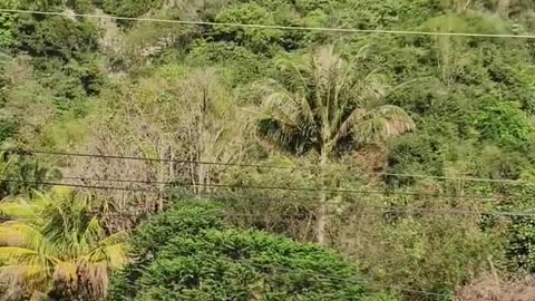 Mud Slides from the Earthquake in Taiwan