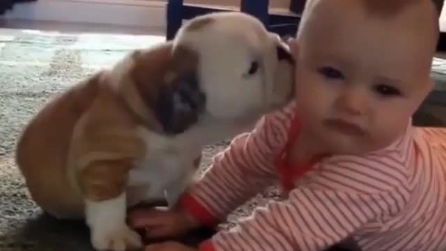 baby and dog