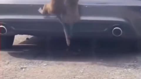 This Audi is really poor