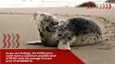 PonziCoin Price Prediction 2023, 2025, 2030 PONZI Cryptocurrency Price Prediction