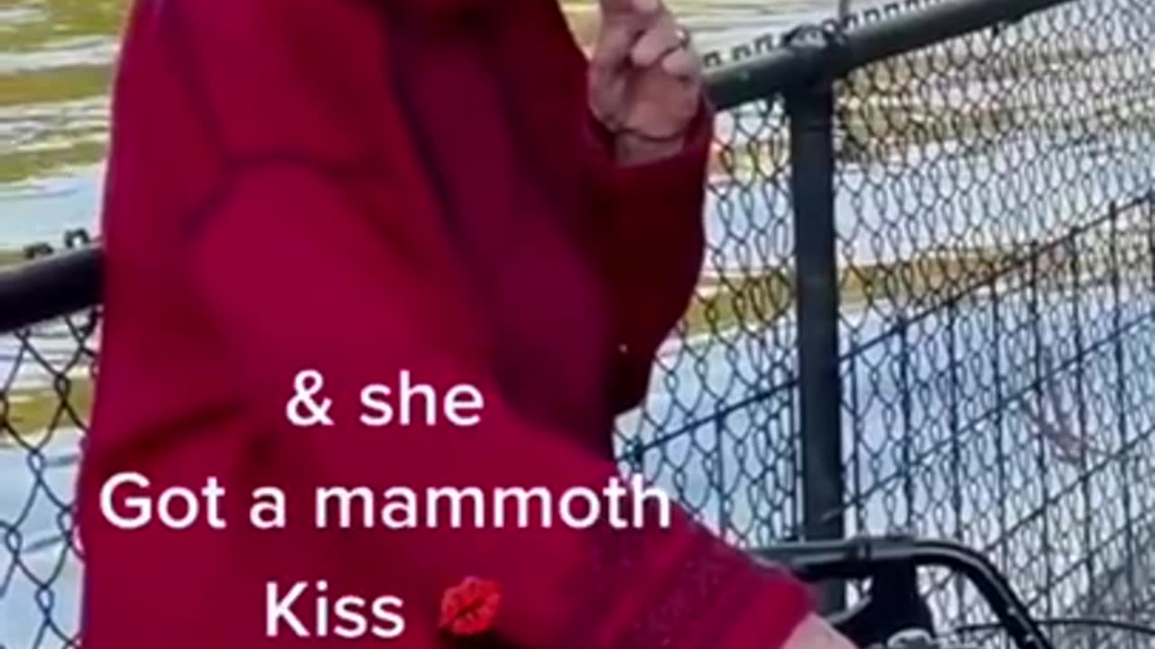 Viral videos of animals for the year 2023