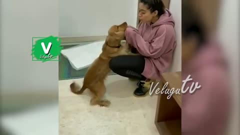 Actress Rashmika Mandanna Playing With Her Pet Dog