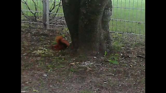 Here For You - Özxan