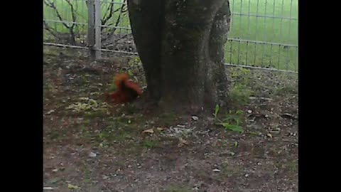 Here For You - Özxan