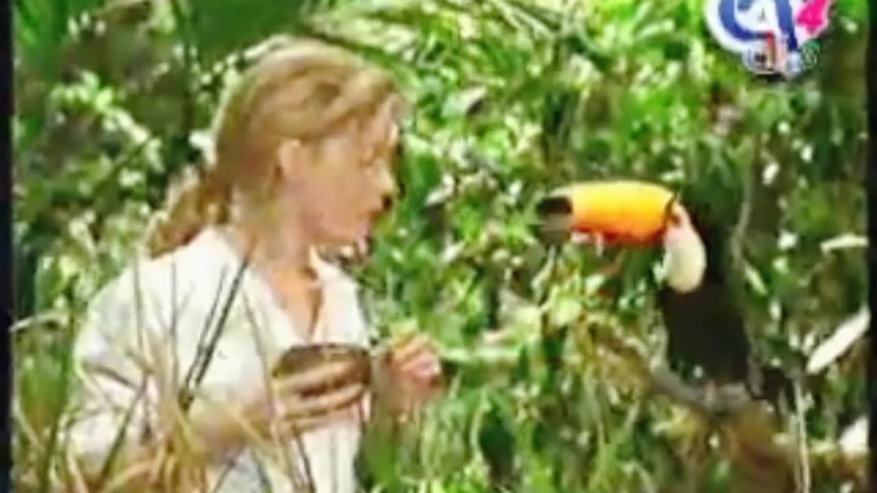 Devdas monkey is funny video