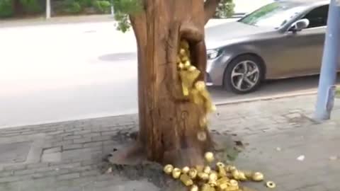 the earthquake that struck the city.