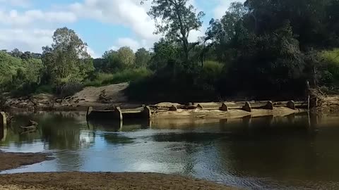 14.6.2024 The Barron River, Kuranda