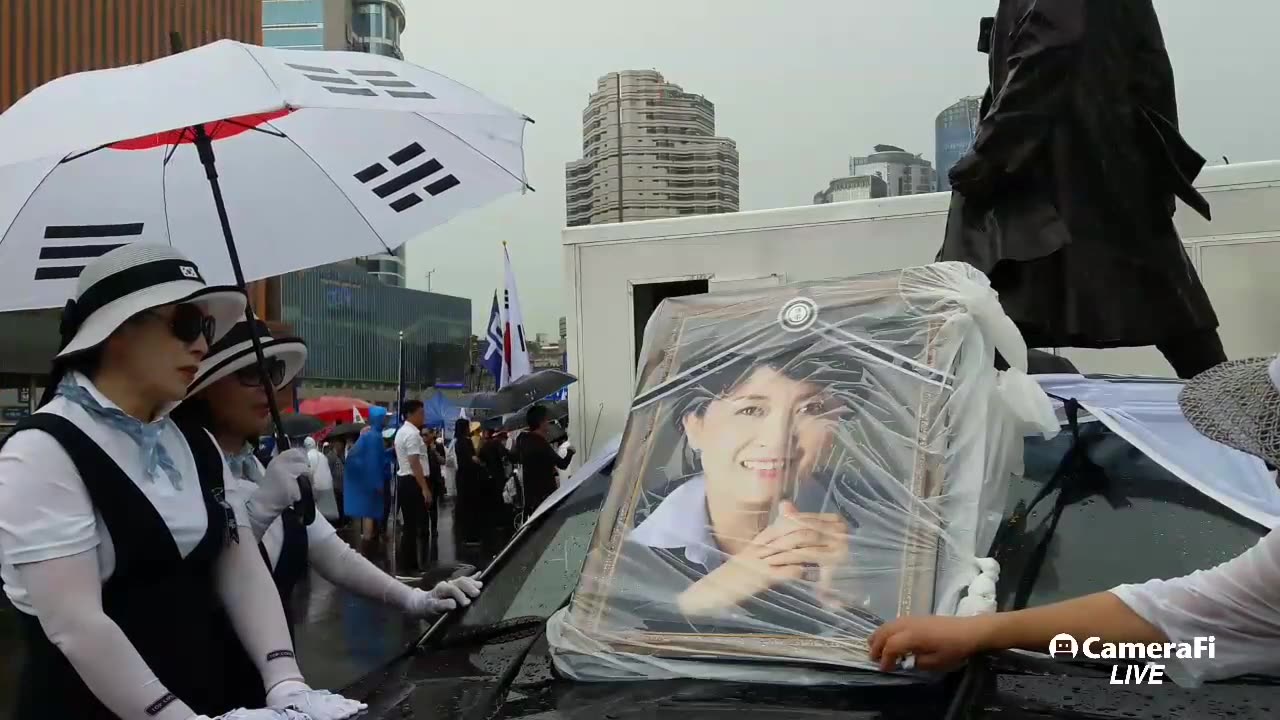 20180728_V3_S01(N0ku1b7WS8U)20180728-14_02 정미홍 추모 하늘도 울다!!!