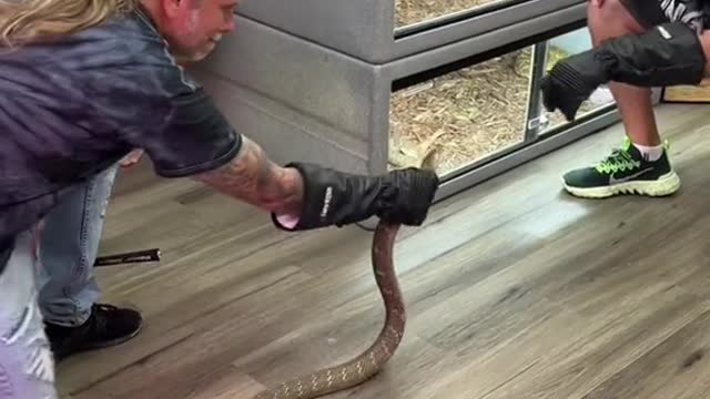 please do not try this, we are professionals