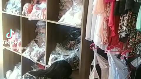 Modelos Hobby e Camisolas Nydd Lingerie - Vídeo 2