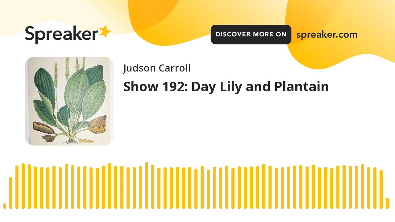 Show 192: Day Lily and Plantain