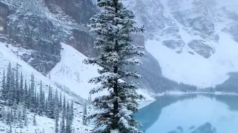 Beauty of Nature