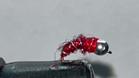 Tying a Red Zebra Midge