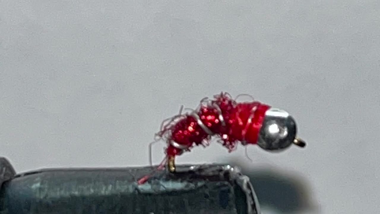 Tying a Red Zebra Midge