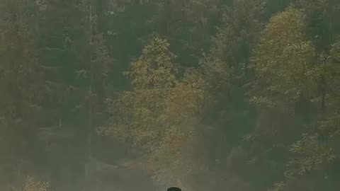 Just relax and ho to nature for forget about yor all problems