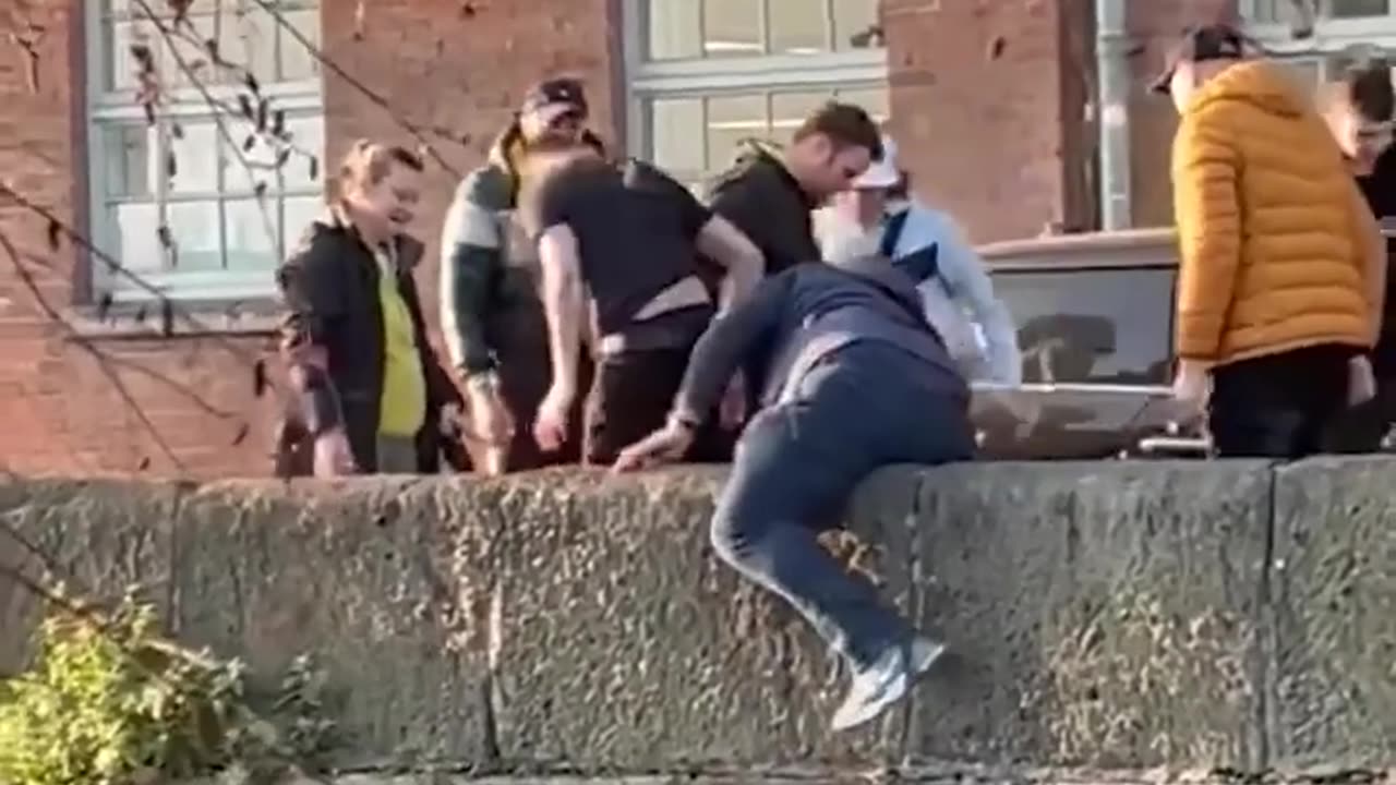 Good Samaritans ban together to rescue dog stranded in canal